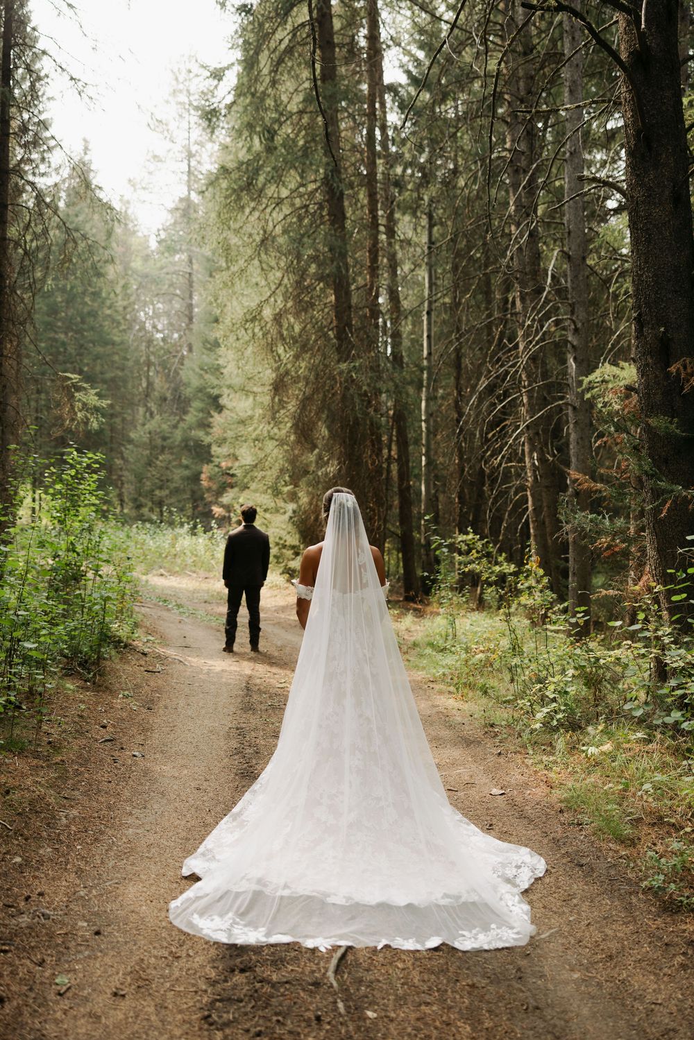 A dramatic wedding photo showing a long white veil trailing on a forest path.