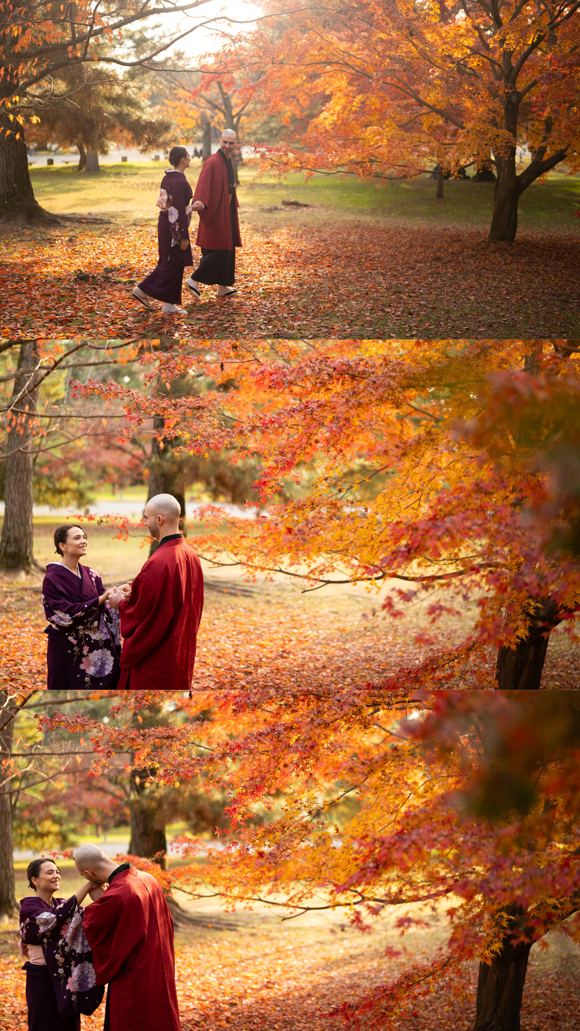 Triptych of an engaged couple in kimono walking and embracing among glowing autumn maple trees.