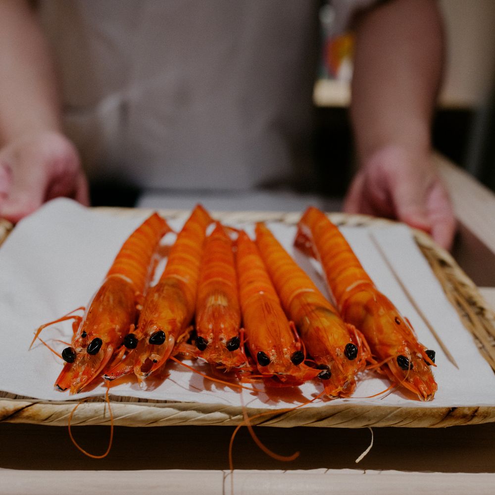 Fresh red langoustines or prawns arranged in neat rows on a white serving platter.