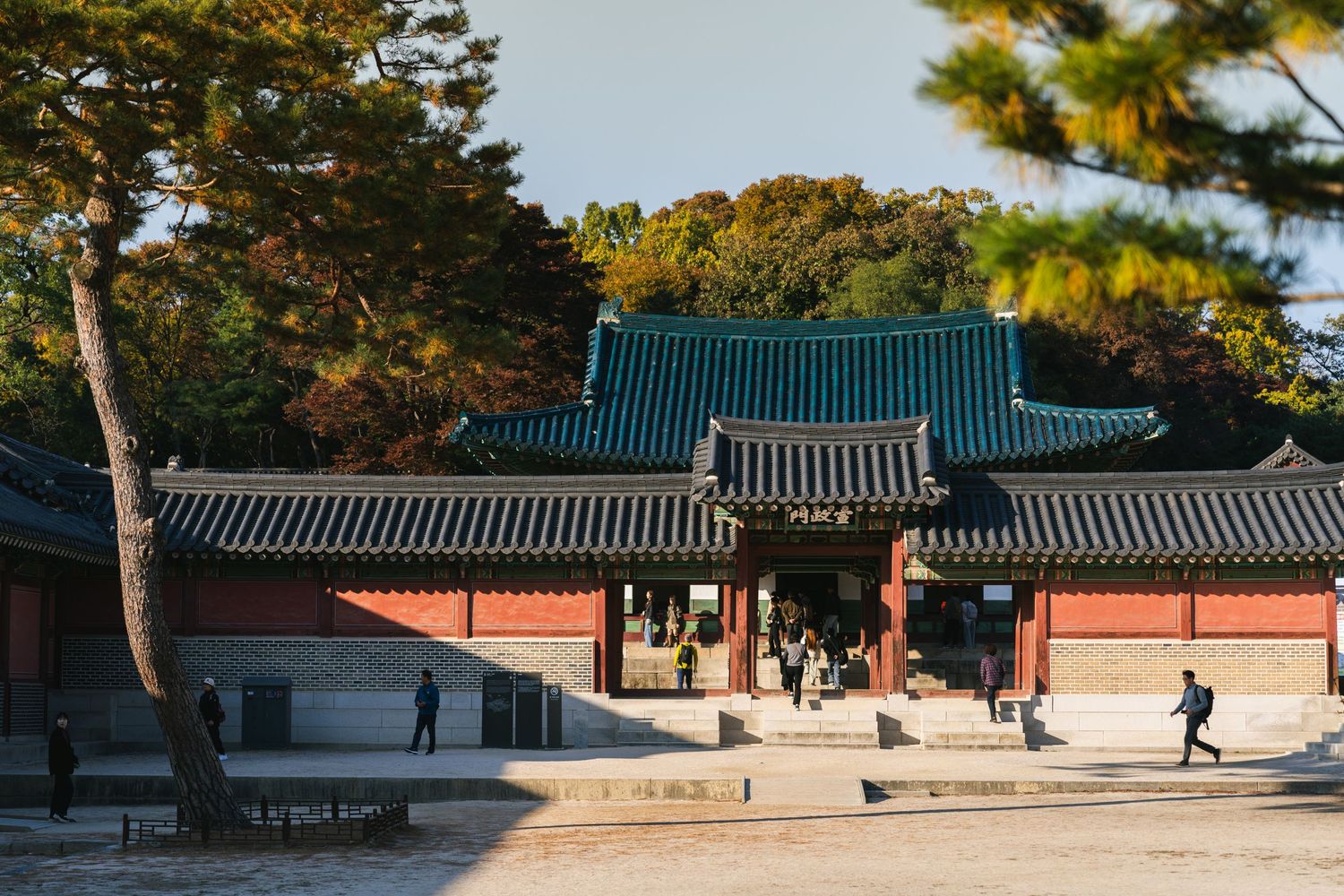 Traditional Korean palace buildings with green tiled roofs among pine trees at sunset.