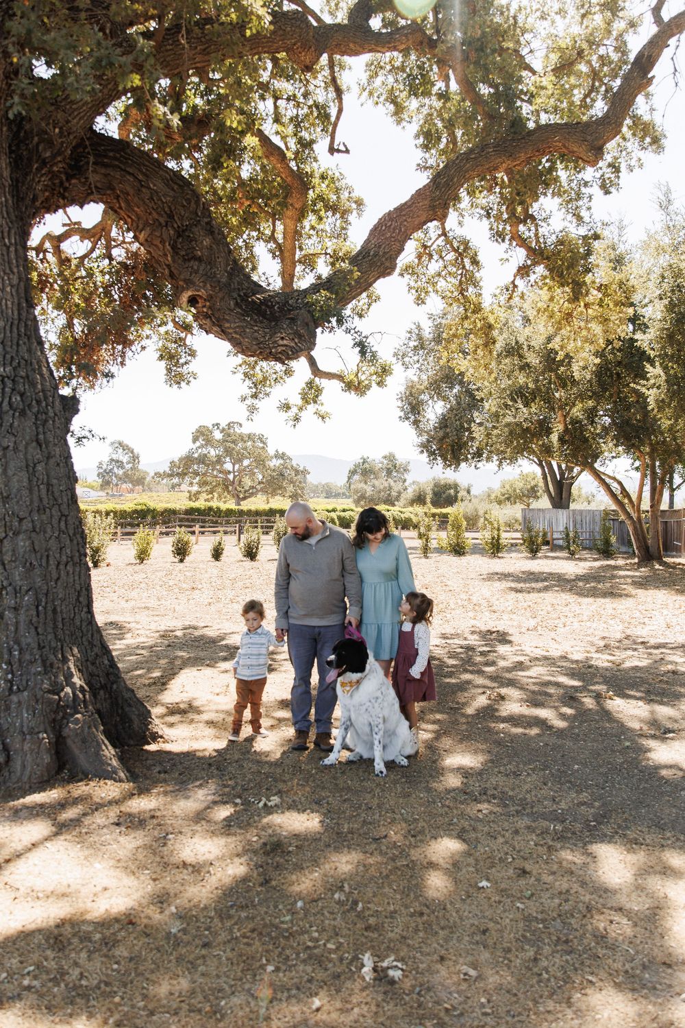 Family with two kids and a dog standing beneath a large oak tree in a rustic vineyard setting.