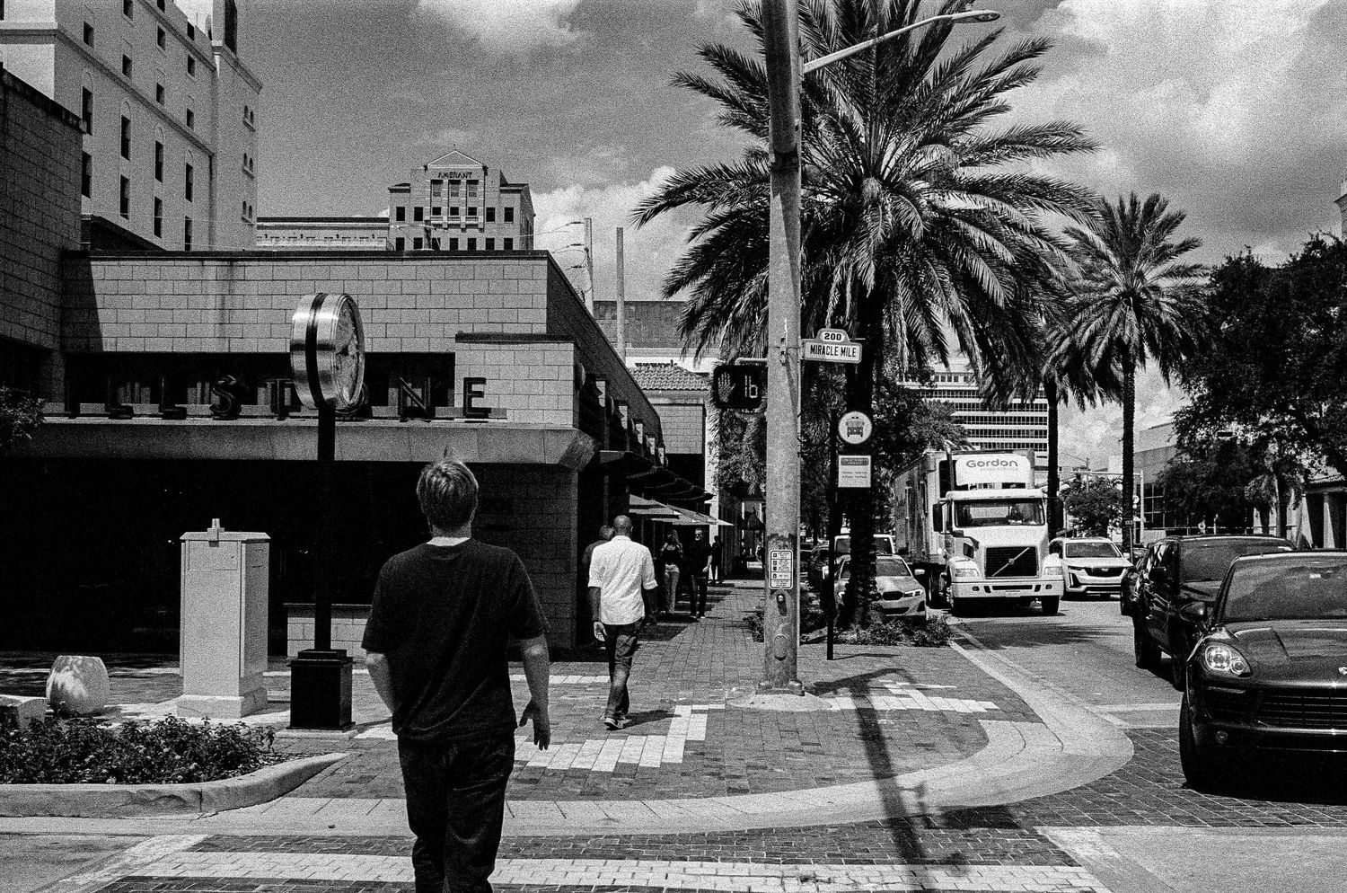 Black and white city street with palm trees and buildings along the sidewalk.