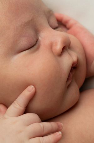 How much is Newborn photography, Northern Colorado Newborn Photography, Fort Collins Newborn Photography, Loveland Newborn Photographer