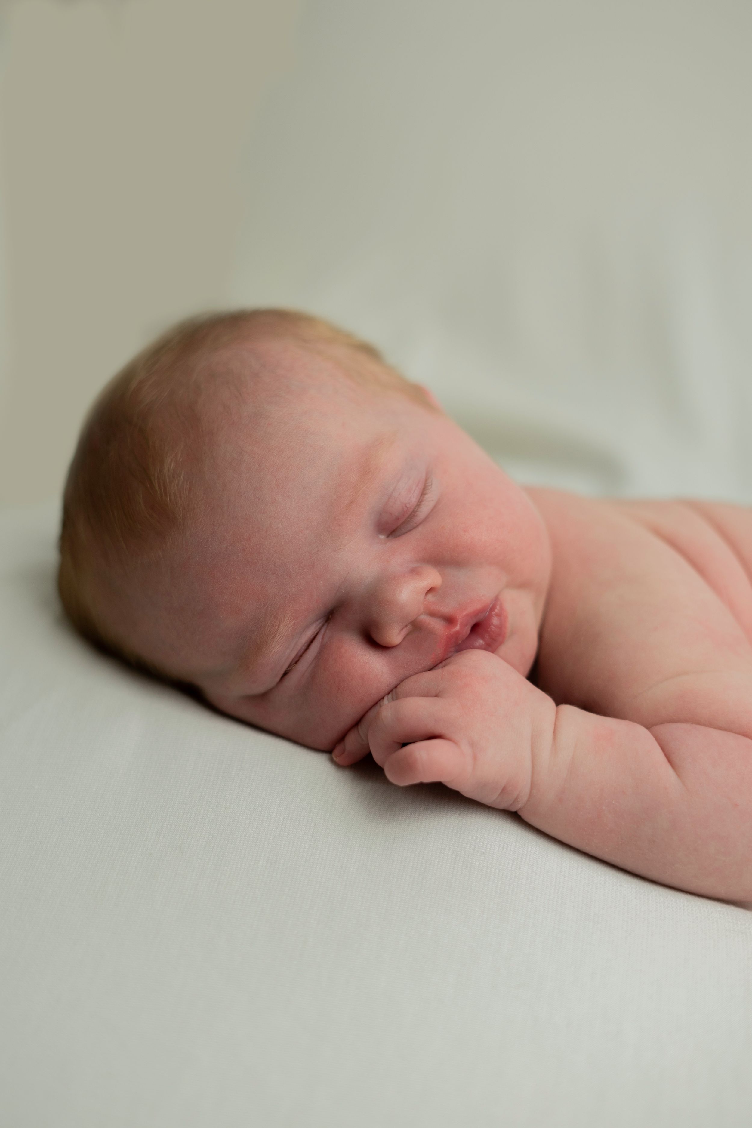 How much is Newborn photography, Northern Colorado Newborn Photography, Fort Collins Newborn Photography, Loveland Newborn Photographer
