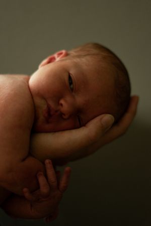 How much is Newborn photography, Northern Colorado Newborn Photography, Fort Collins Newborn Photography, Loveland Newborn Photographer