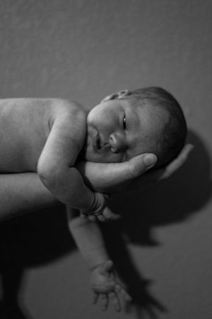 How much is Newborn photography, Northern Colorado Newborn Photography, Fort Collins Newborn Photography, Loveland Newborn Photographer