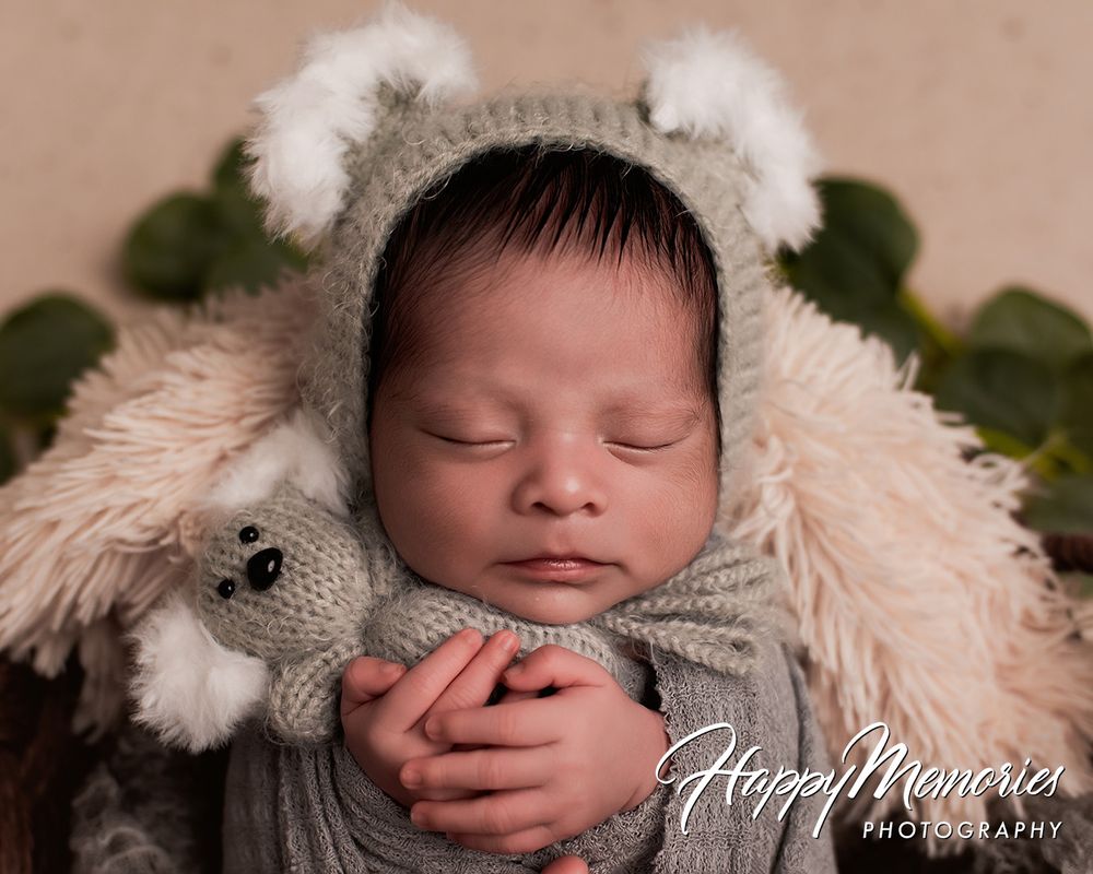 Sleeping newborn baby wearing a gray knit koala bear bonnet, cradled in a fluffy basket with a matching stuffed toy.