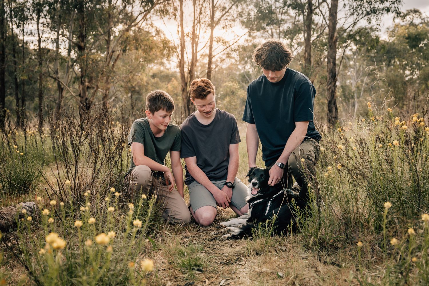 Three brothers and their dog sit together in a sunlit bush setting with wildflowers during golden hour.