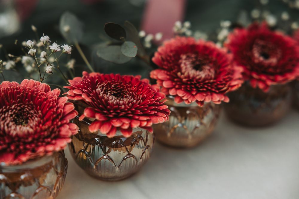 A row of vibrant red gerbera flowers placed side by side with sparkling dewdrops on their delicate petals.