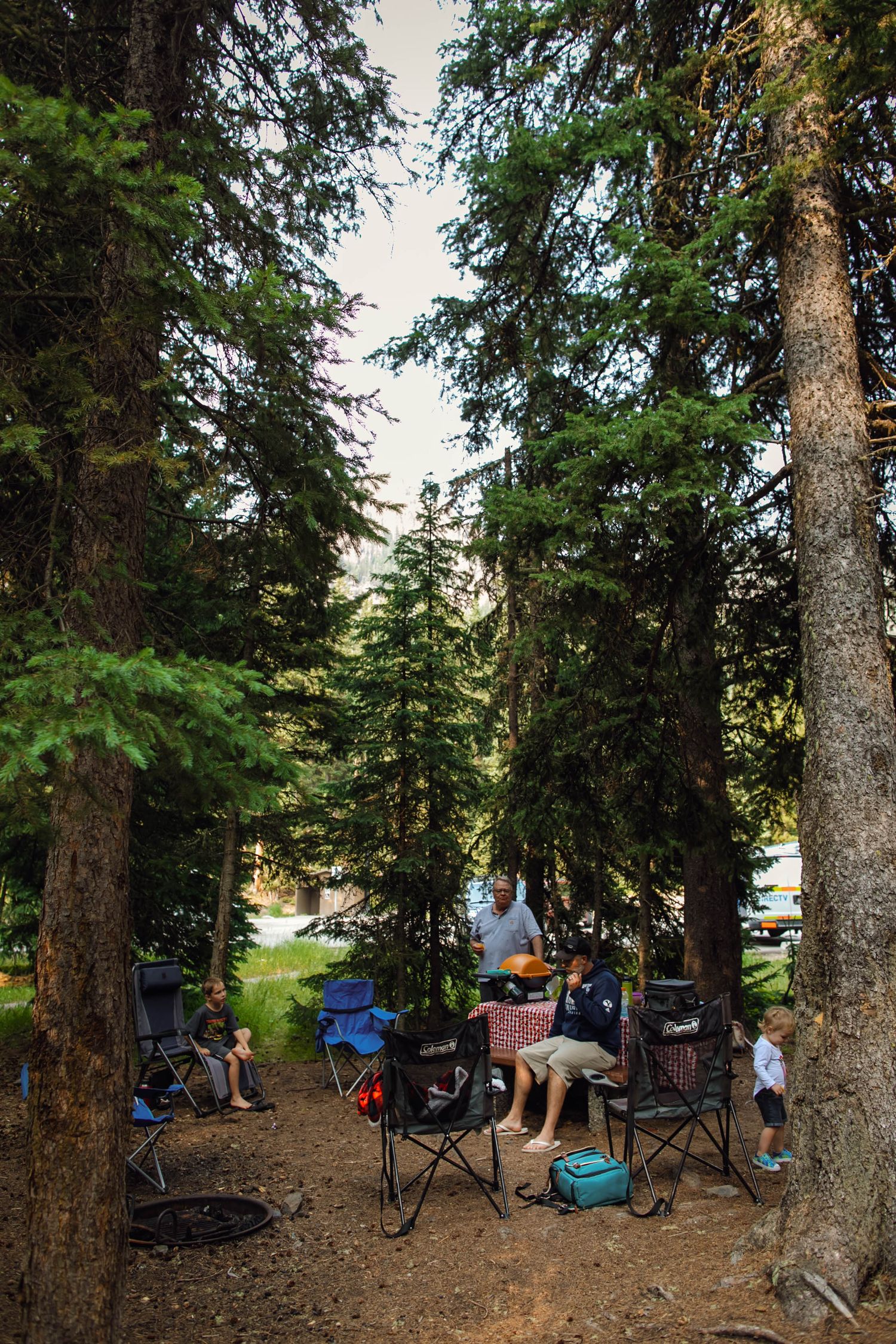 Campsite setup among tall evergreen trees showing camping chairs, bikes, and supplies arranged in a forest clearing.
