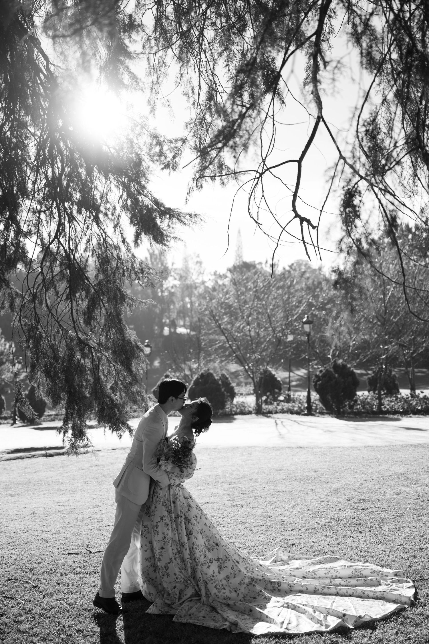 Black and white romantic wedding photo of couple kissing under weeping tree branches with sunlight streaming through park.