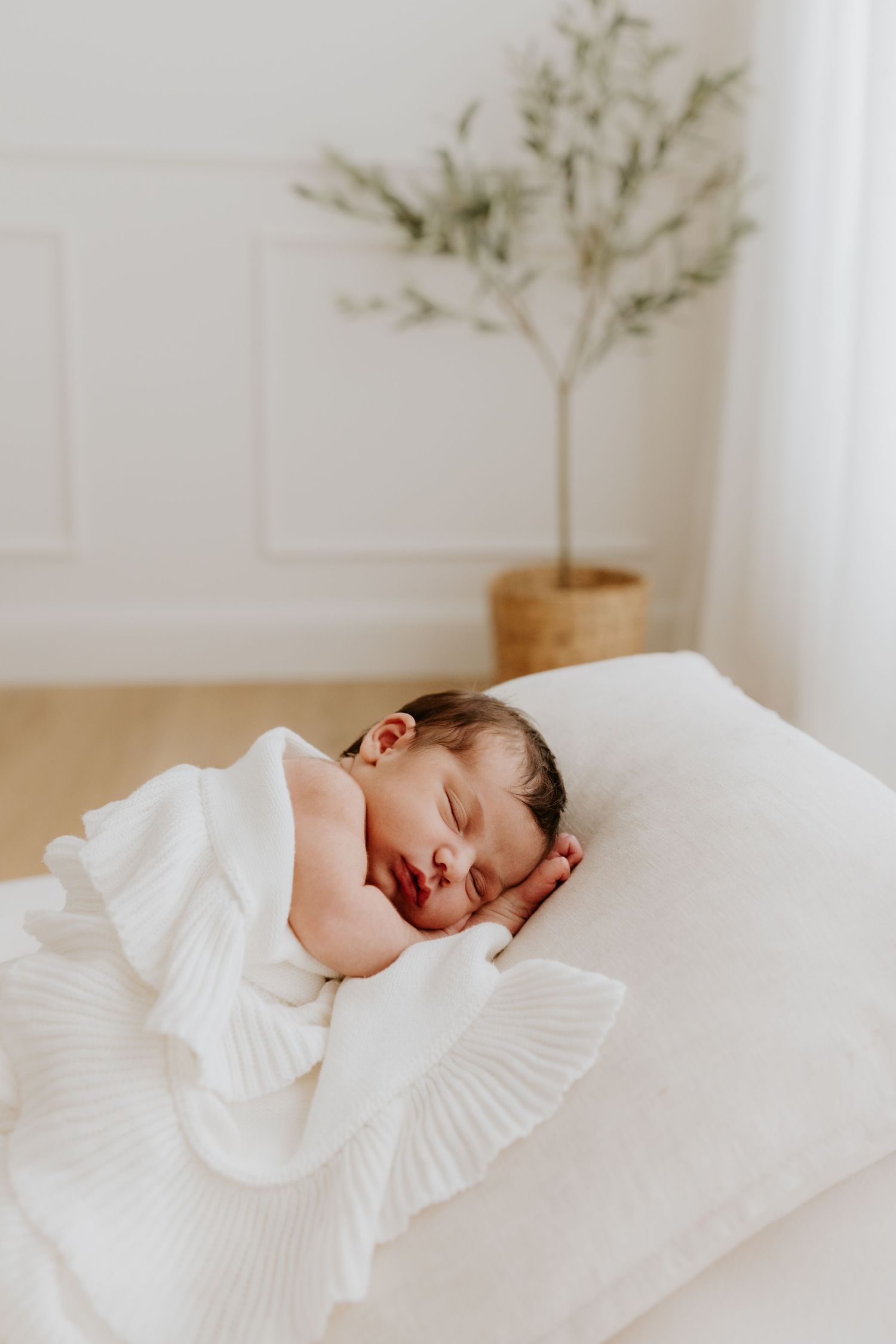 A baby sleeps peacefully, wrapped in a soft white blanket at her newborn photography session in an Adelaide Studio with her family.