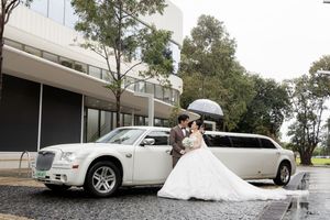 White luxury wedding cars lined up outside on a tree-lined driveway.
