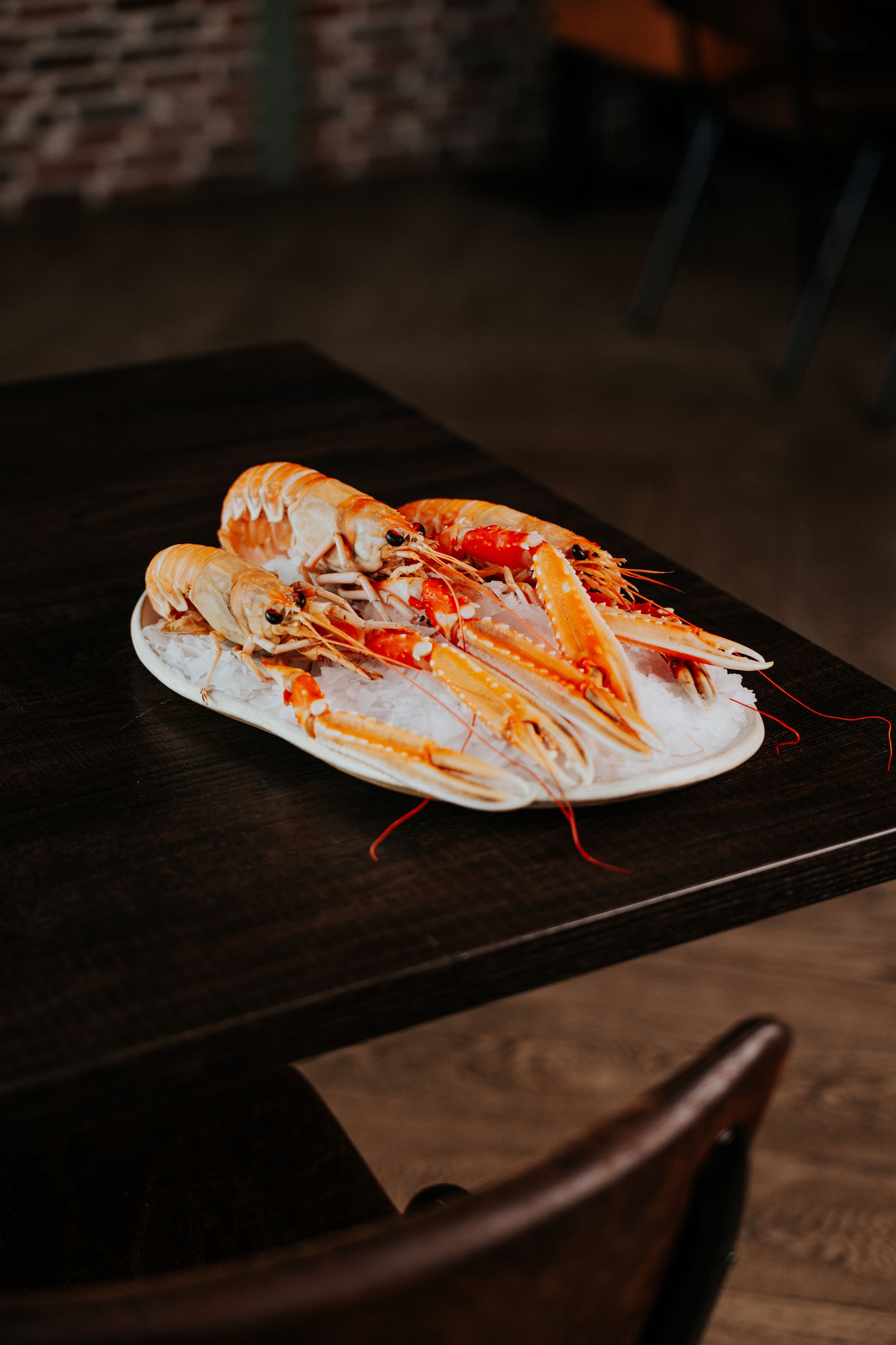 Fresh langoustines arranged on white plate against dark background.