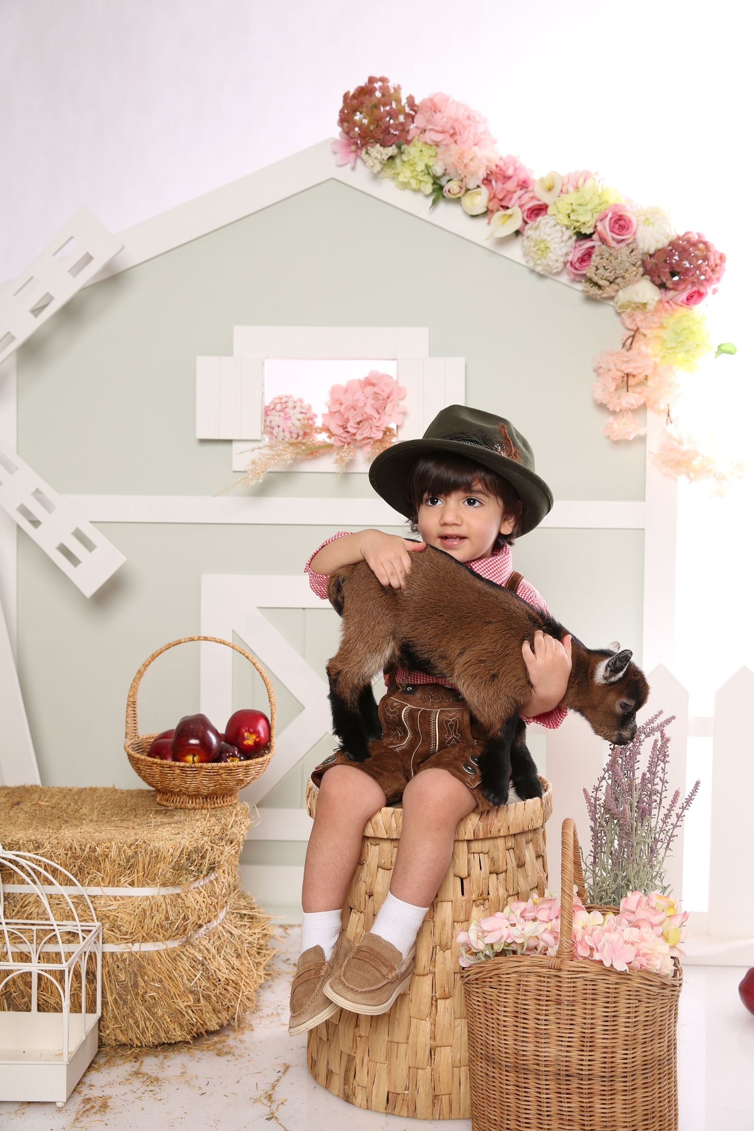farm theme photo for kids