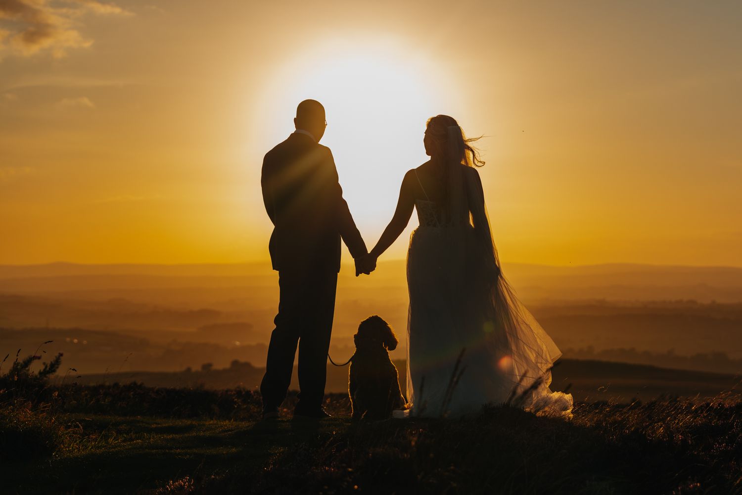 A family of three holds hands in silhouette against a golden sunset over rolling hills.