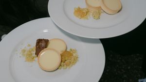 Elegant dessert plates featuring macarons and delicate garnishes on white china.