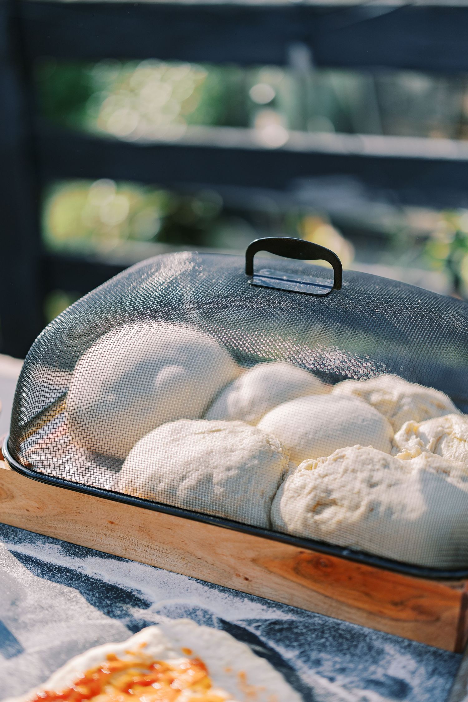 Fresh bread dough rising under a glass cloche in natural sunlight on a wooden board.