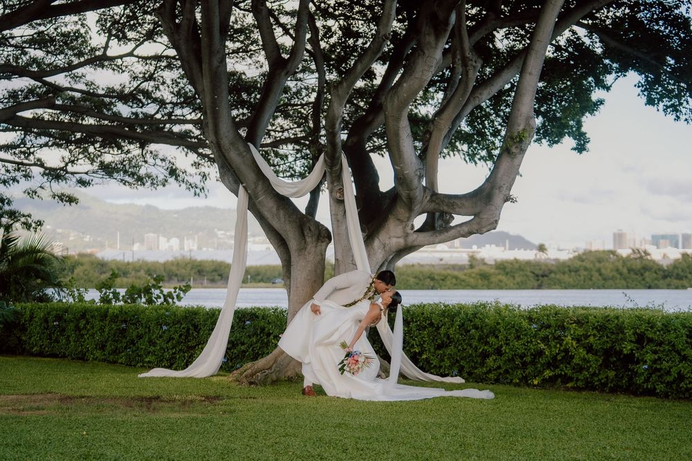 Scenic outdoor wedding setup with large trees and waterfront views.