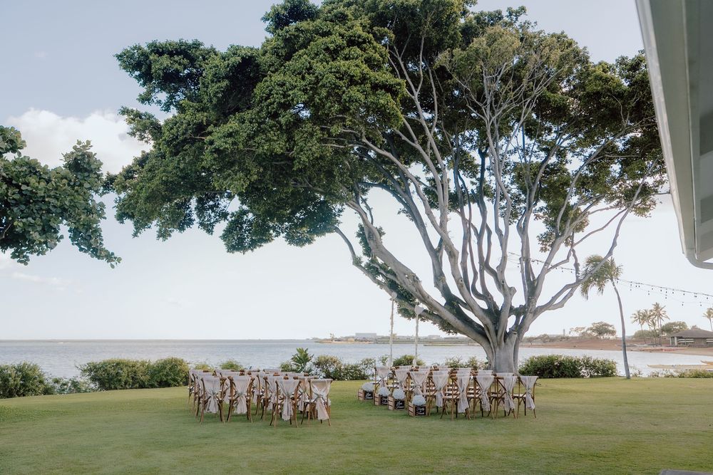 A panoramic view of wedding guests gathered under trees for an outdoor ceremony.
