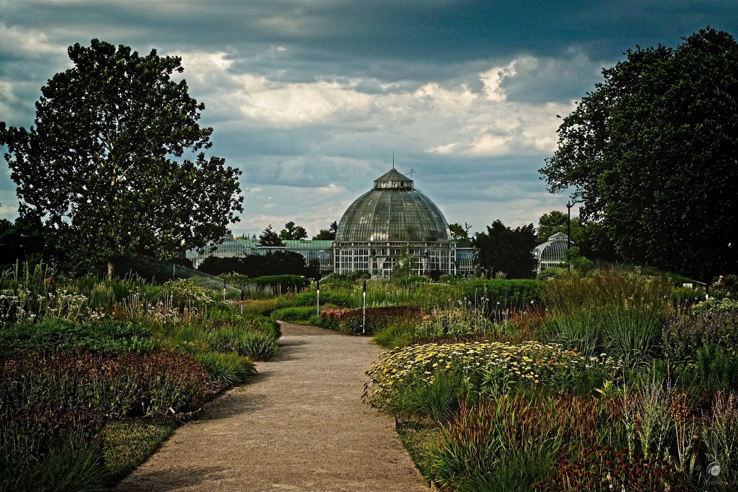 Detroit Belle Isle Garden, Anna Scripps Whitcomb Conservatory