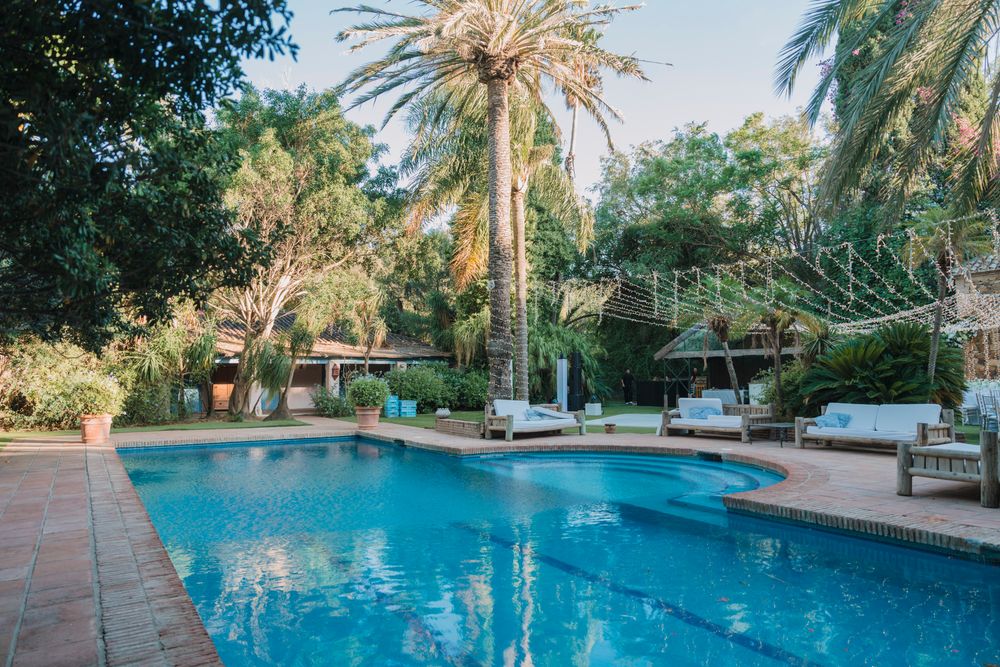 Luxurious swimming pool surrounded by palm trees and lounge furniture in an outdoor garden setting.