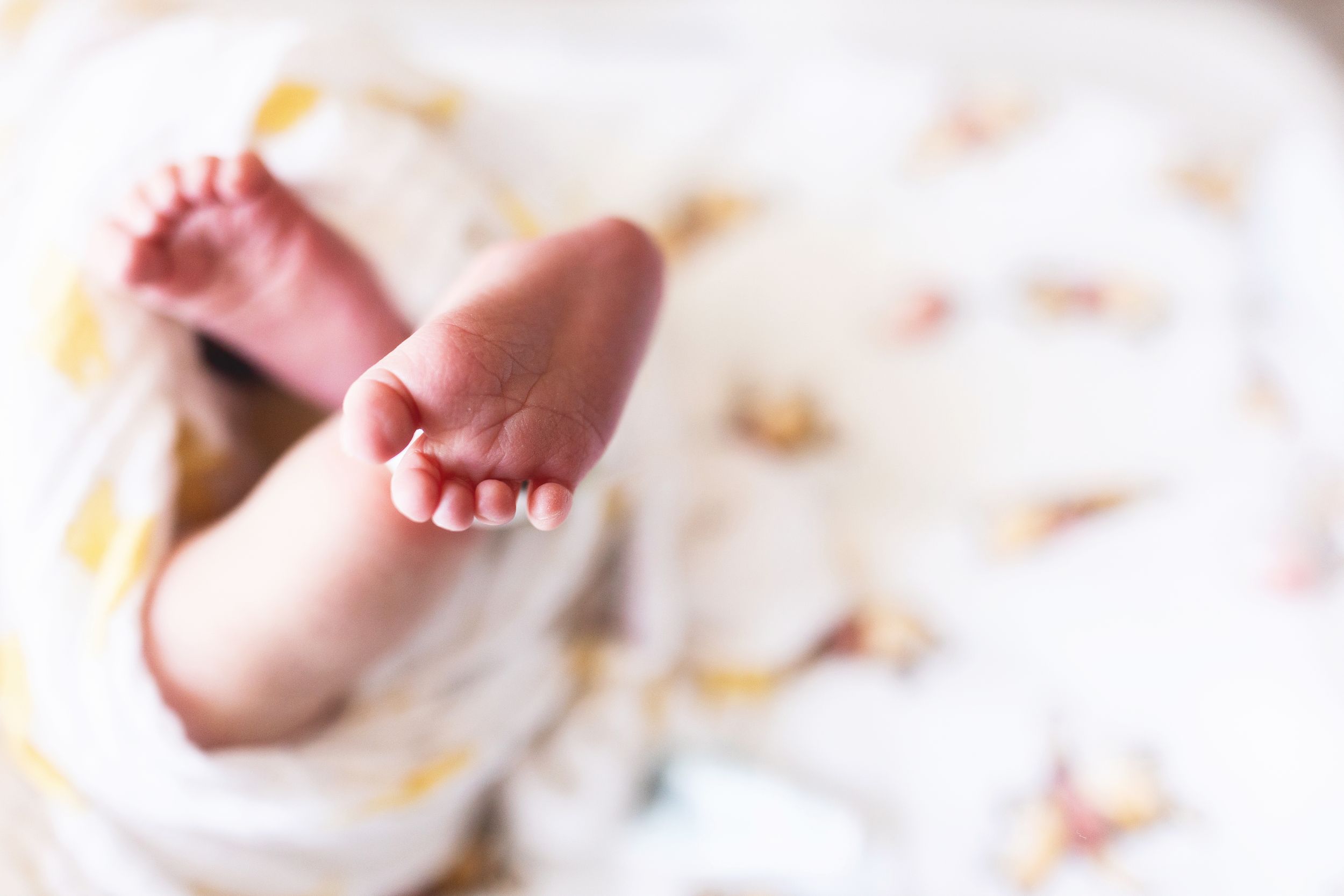 Close-up of newborn baby's tiny feet against white background.