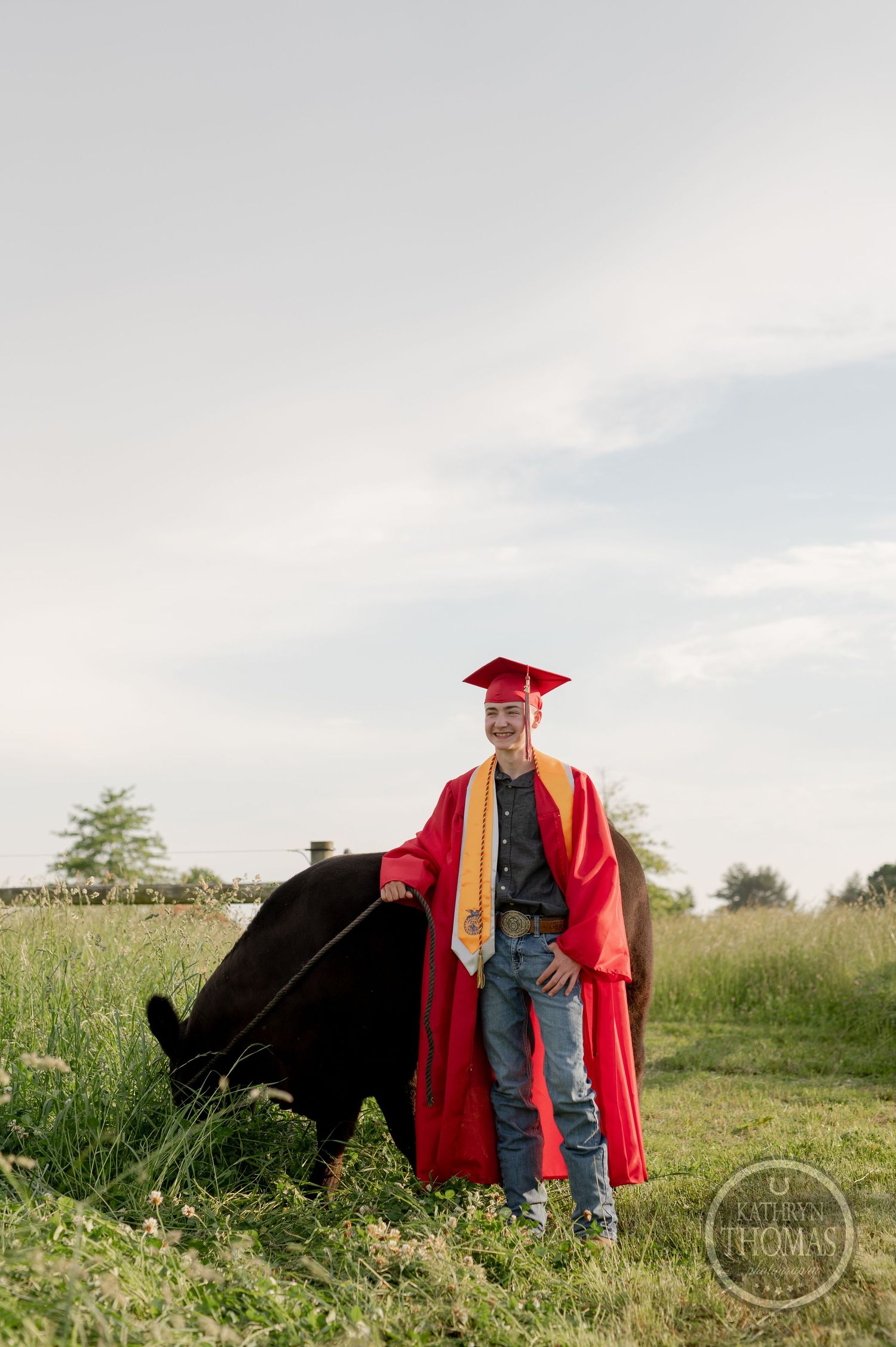 A graduate in red cap and gown stands with grazing black cow in a pasture.