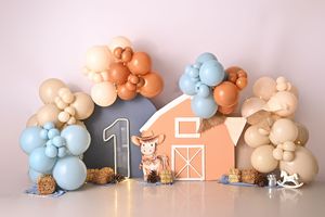 First birthday cake smash setup with balloon garland, barn backdrop, number one, and toy cow decorations.