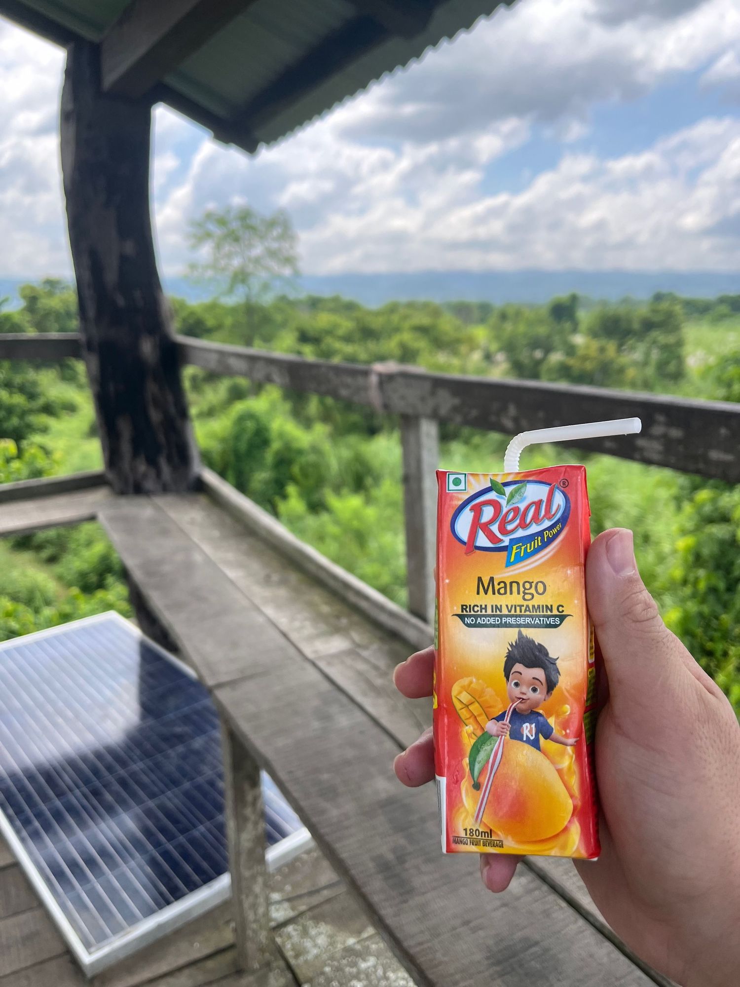 Mango juice box held up against a scenic forest backdrop from a viewing platform.