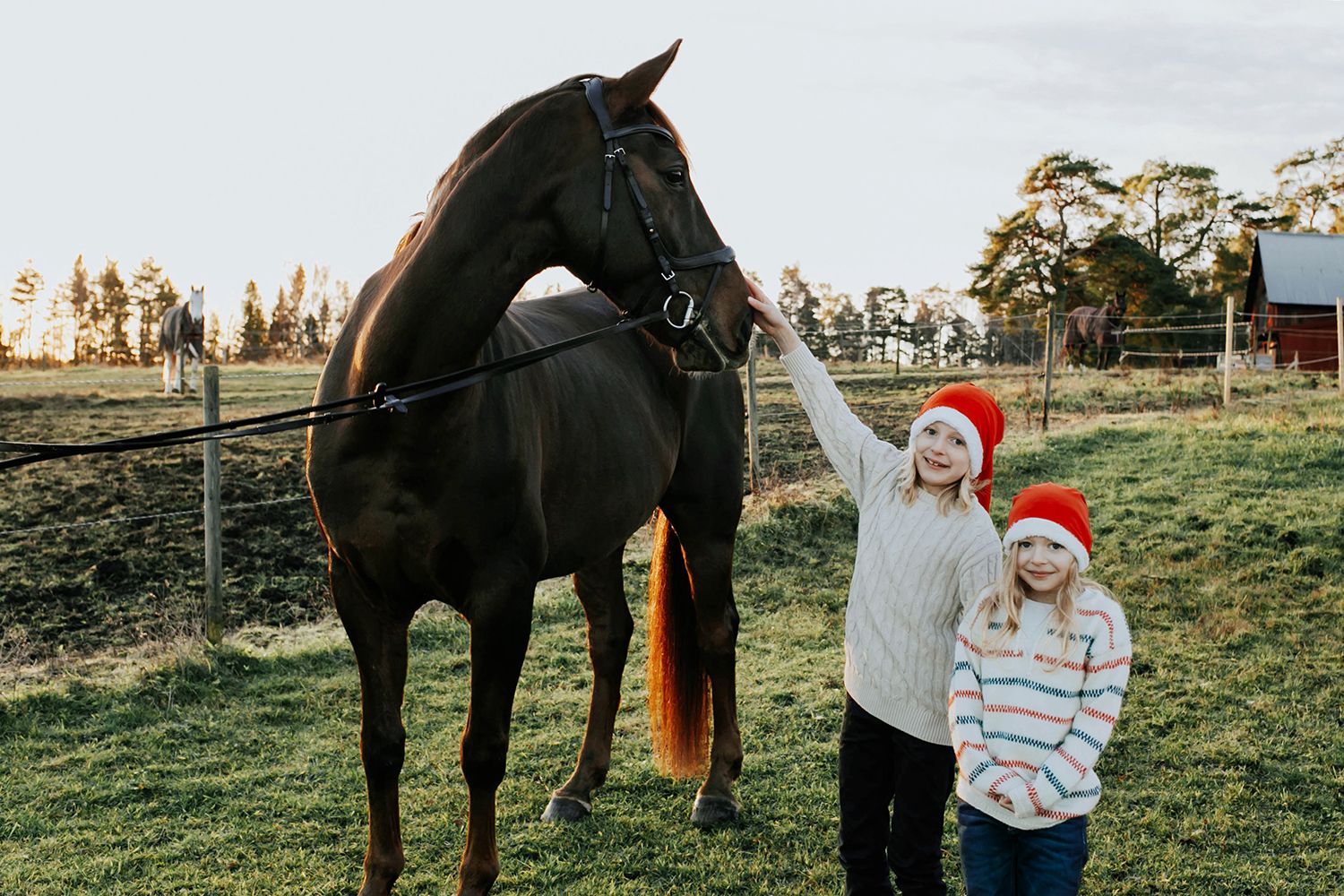 Familjefotografering i Säffle. Fotograf Rebecca Nordin. Julkort med familjens häst.