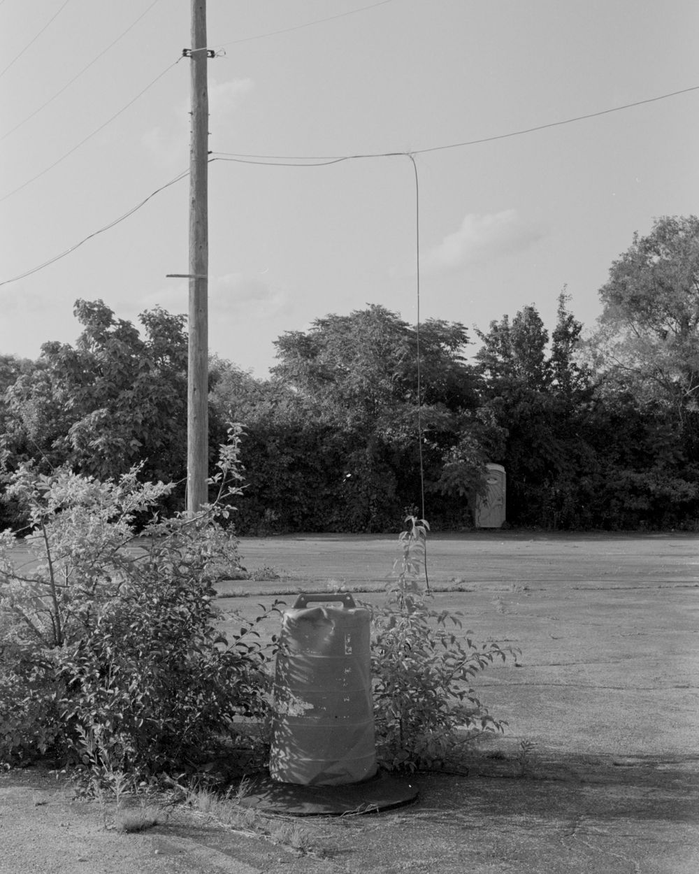 A black and white photograph shows a utility pole and garbage can surrounded by bushes in an open field.