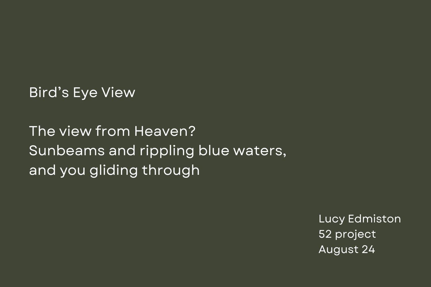A minimalist poem titled Bird's Eye View about sunbeams and waters against a dark green background.