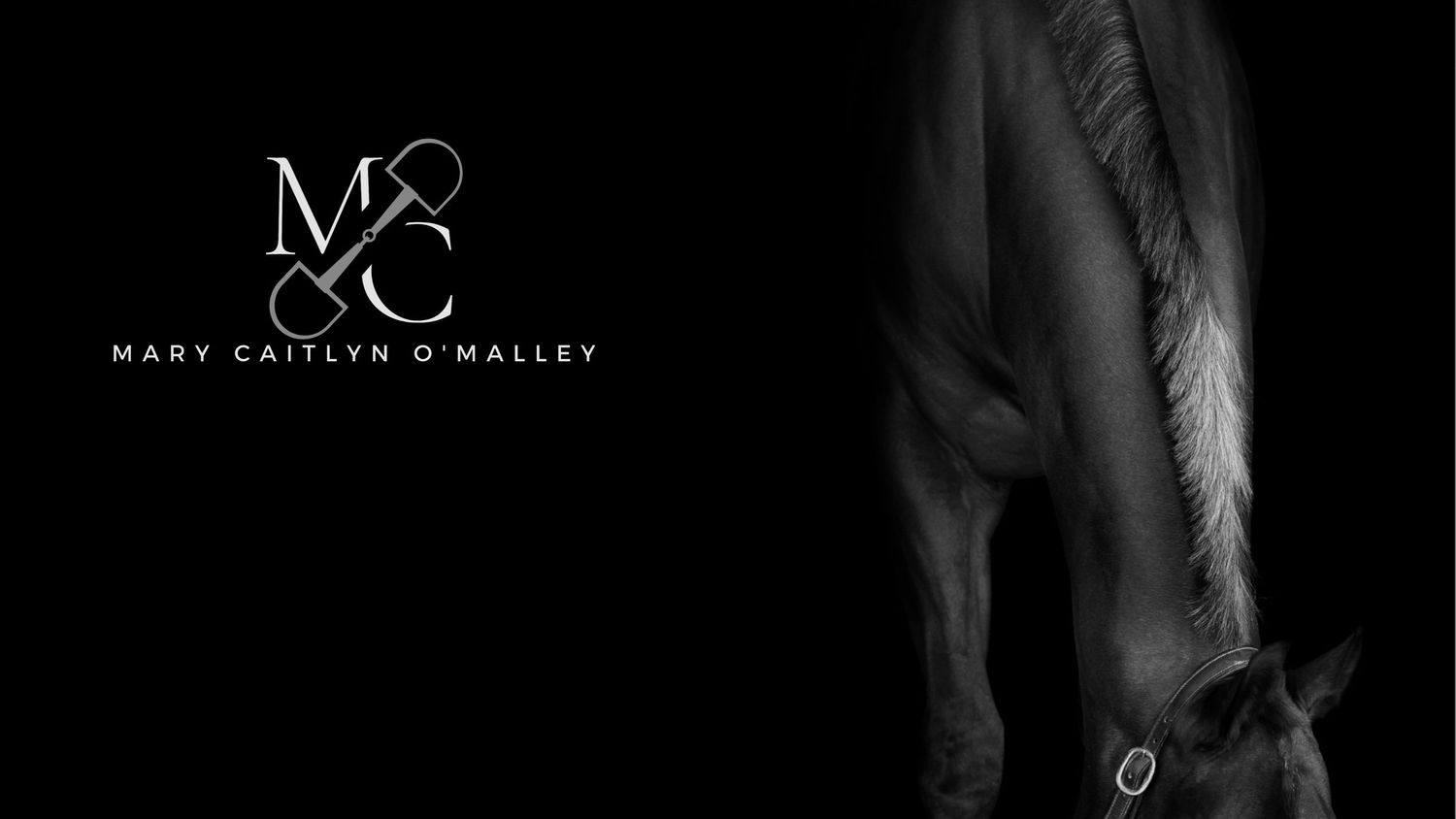 Professional photography, custom designs, and social media solutions for equestrian enthusiasts and businesses.