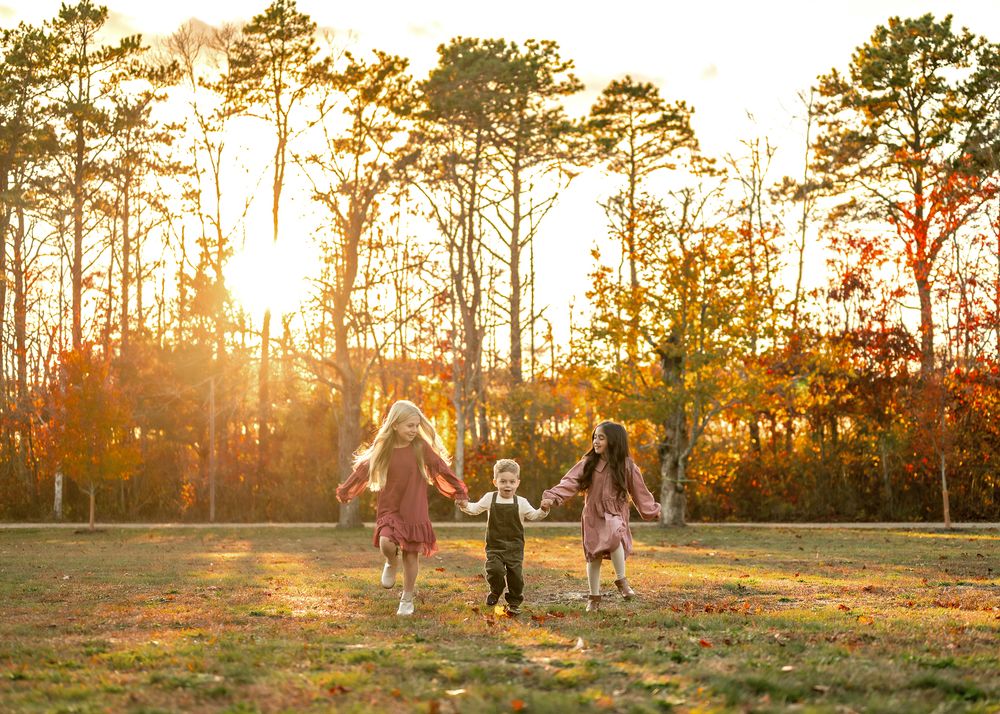 A series of sunset photos in a pine forest with golden sunlight streaming through the trees and silhouettes of people.