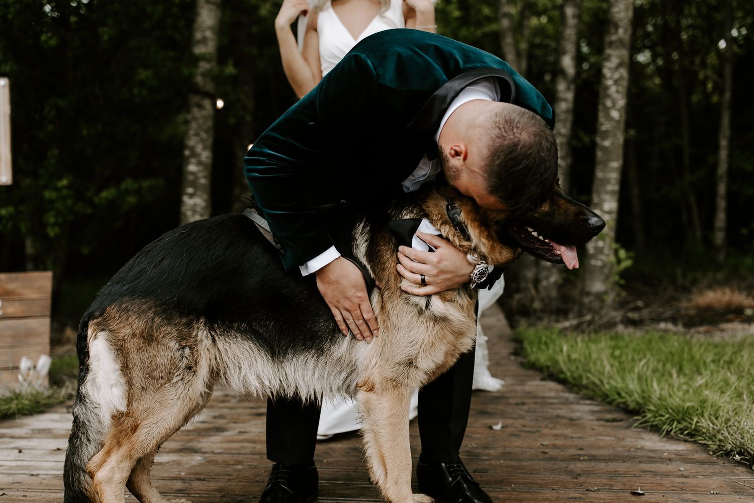 A caramel-colored dog interacts with someone in an outdoor park setting with trees in the background.