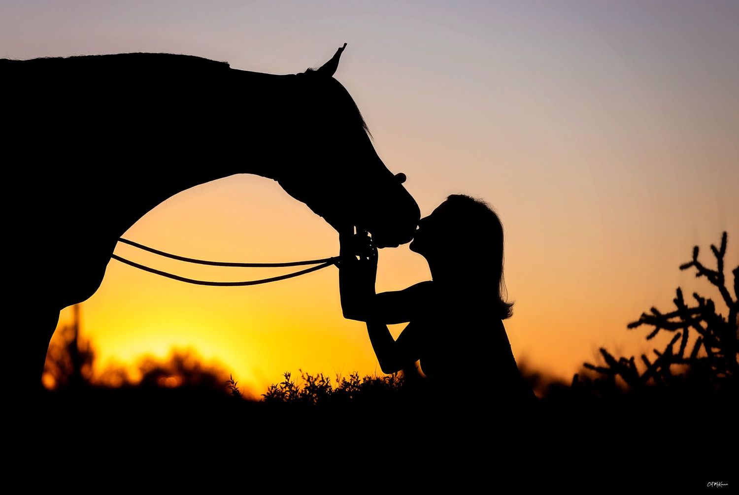 Silhouette of woman kissing horse on the nose