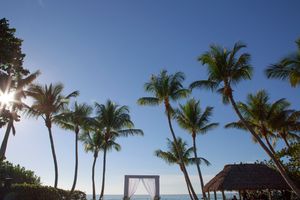 Tropical beach wedding ceremony setup with white arch framed by tall palm trees.