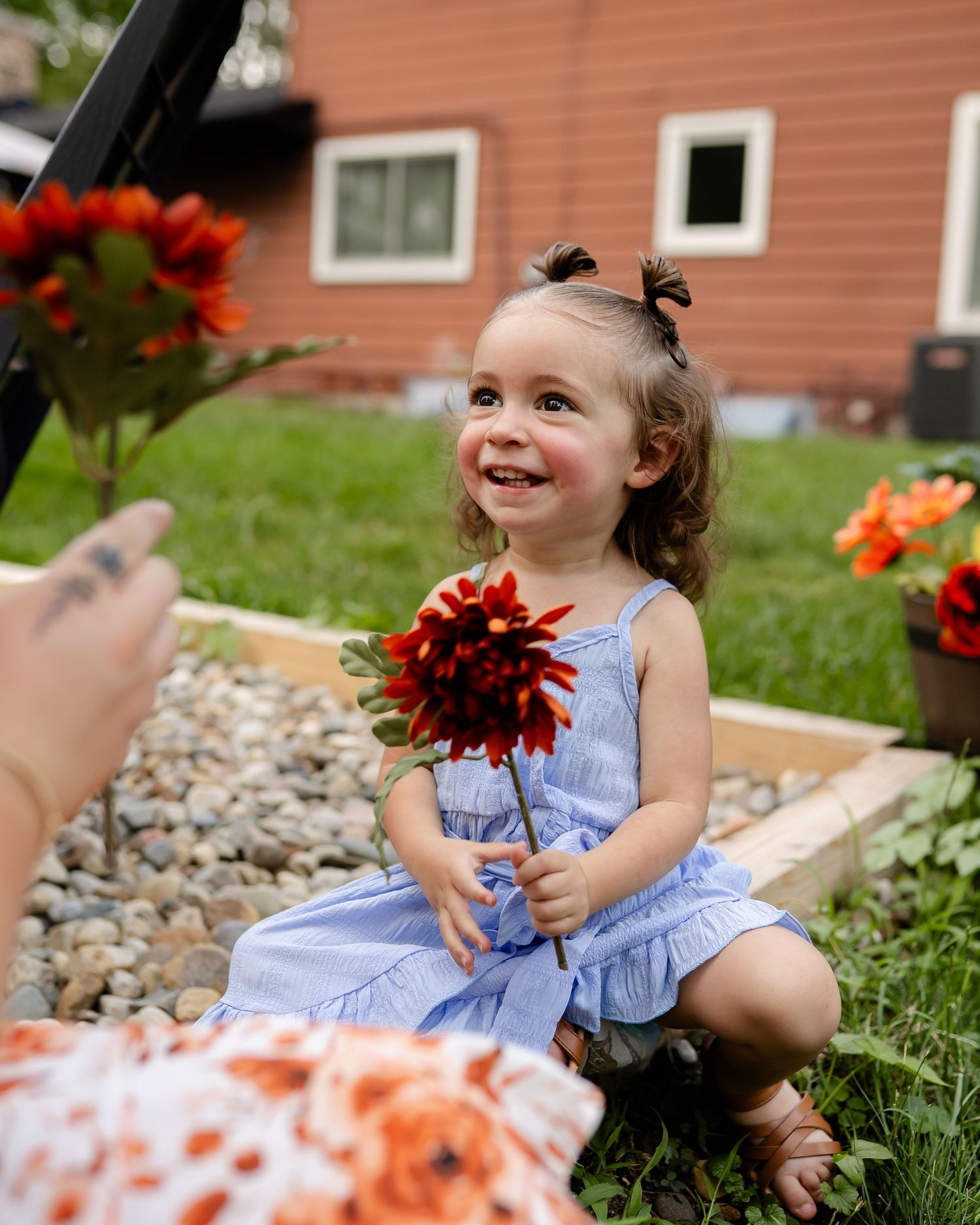 Northern Indiana photographer., goshen Indiana photography. south bend photographer. family photography. family photographer.