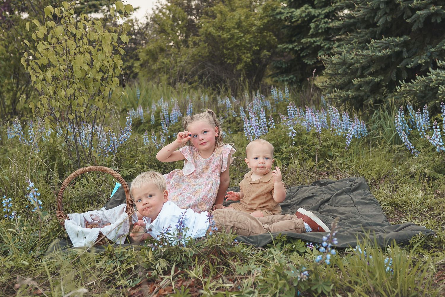 Picnic family pictures