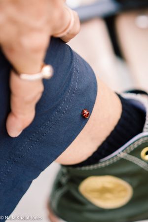 A ladybug resting on blue denim jeans near a green sneaker, with a bracelet-adorned wrist visible.
