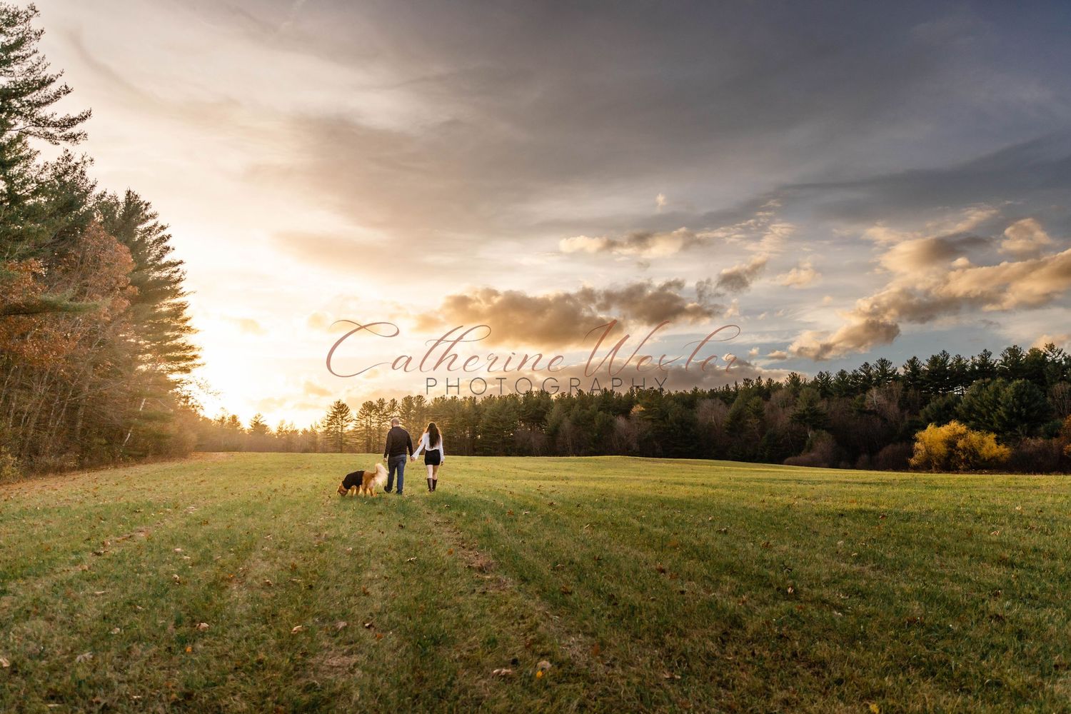 Family photographer. Couples photographer. Equine photography. Massachusetts photographer.