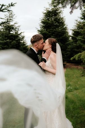A bride and groom share a romantic kiss among evergreen trees, her veil flowing in the foreground.