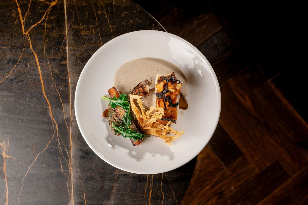 Gourmet fish with sauteed mushrooms and fresh herbs served on a white plate against dark marble surface.