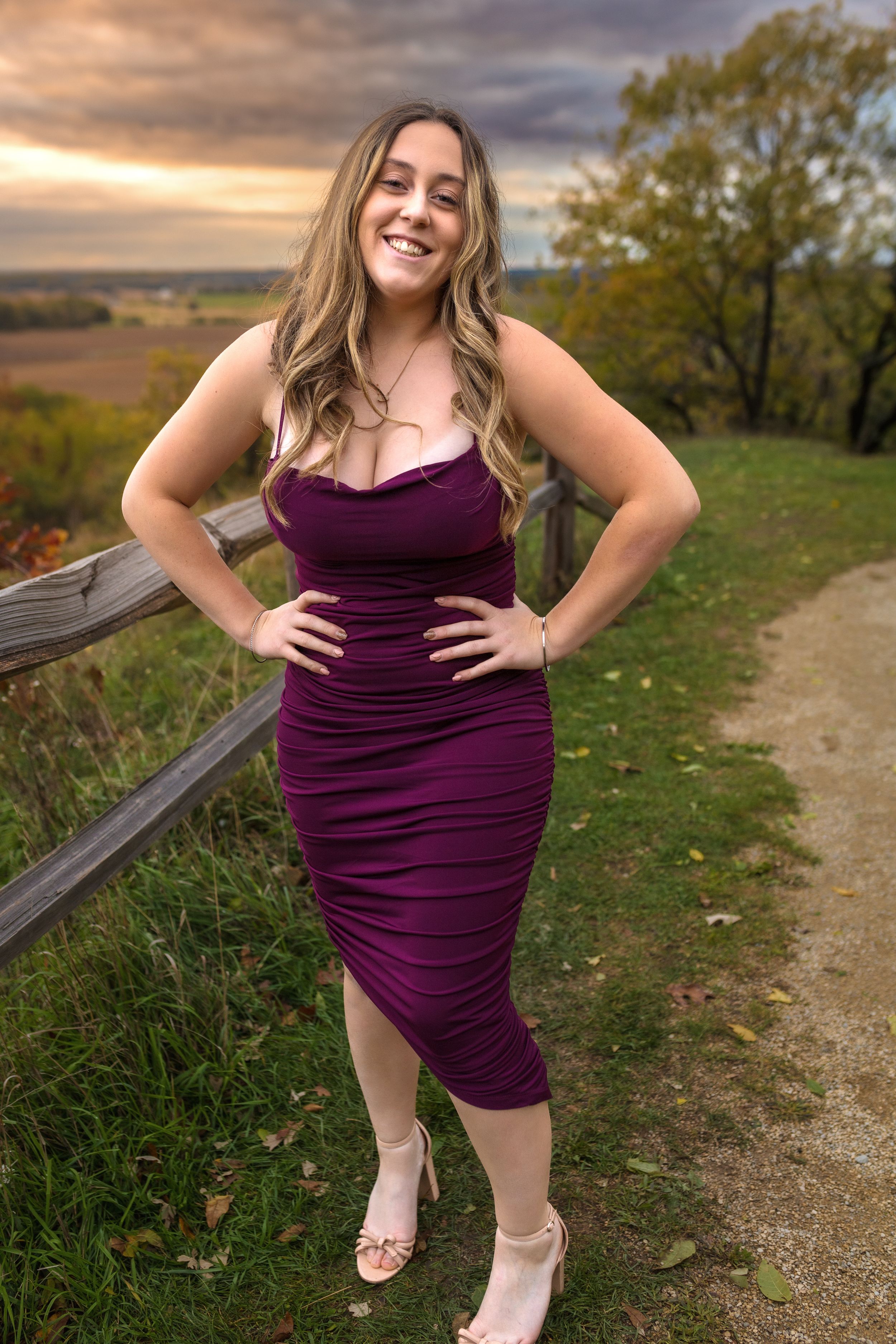 Stylish purple dress portrait at sunset with rustic fence and autumn scenery.
Janesville, WI
Brodhead, WI
