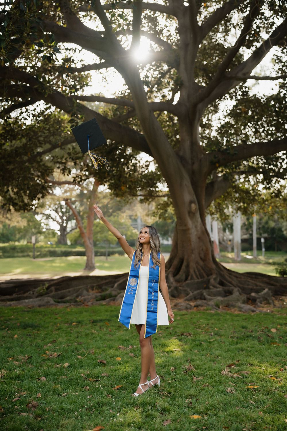 A person swings joyfully on a rope swing hanging from a large tree in a grassy park at sunset.