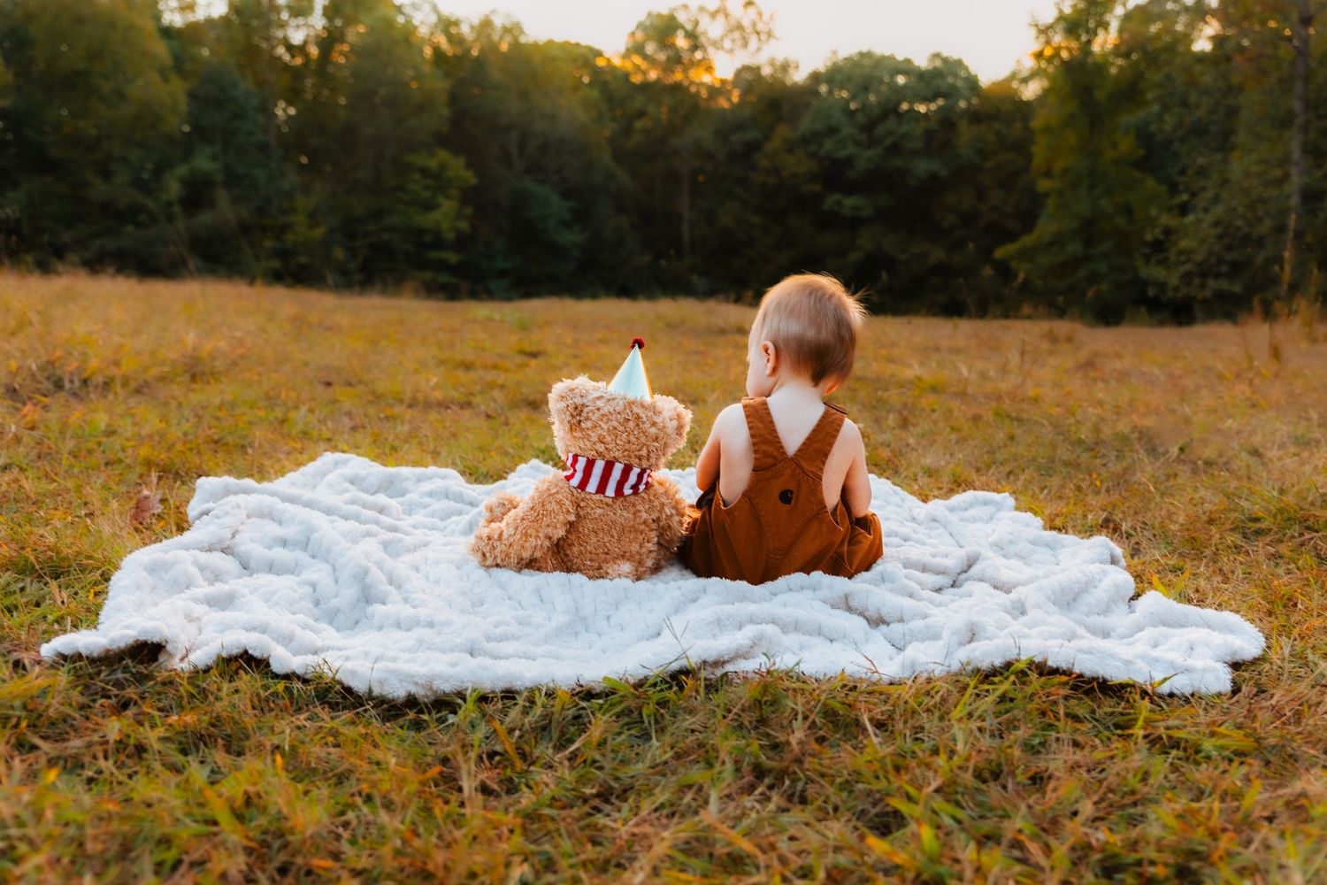 baby milestone photographer in Greensboro and Winston Salem