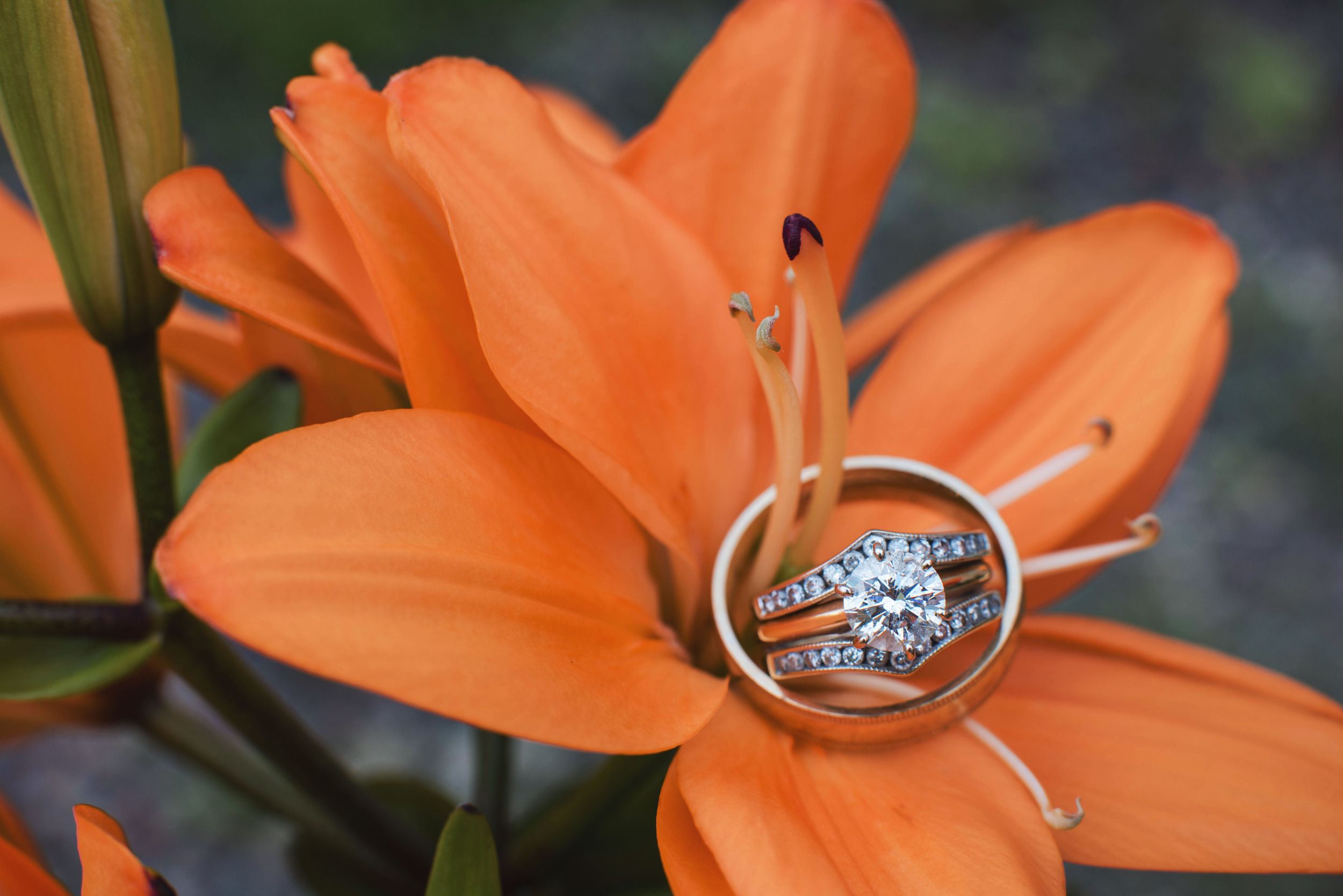 Wedding rings nestled inside a vibrant orange lily flower bloom against a blurred green background.