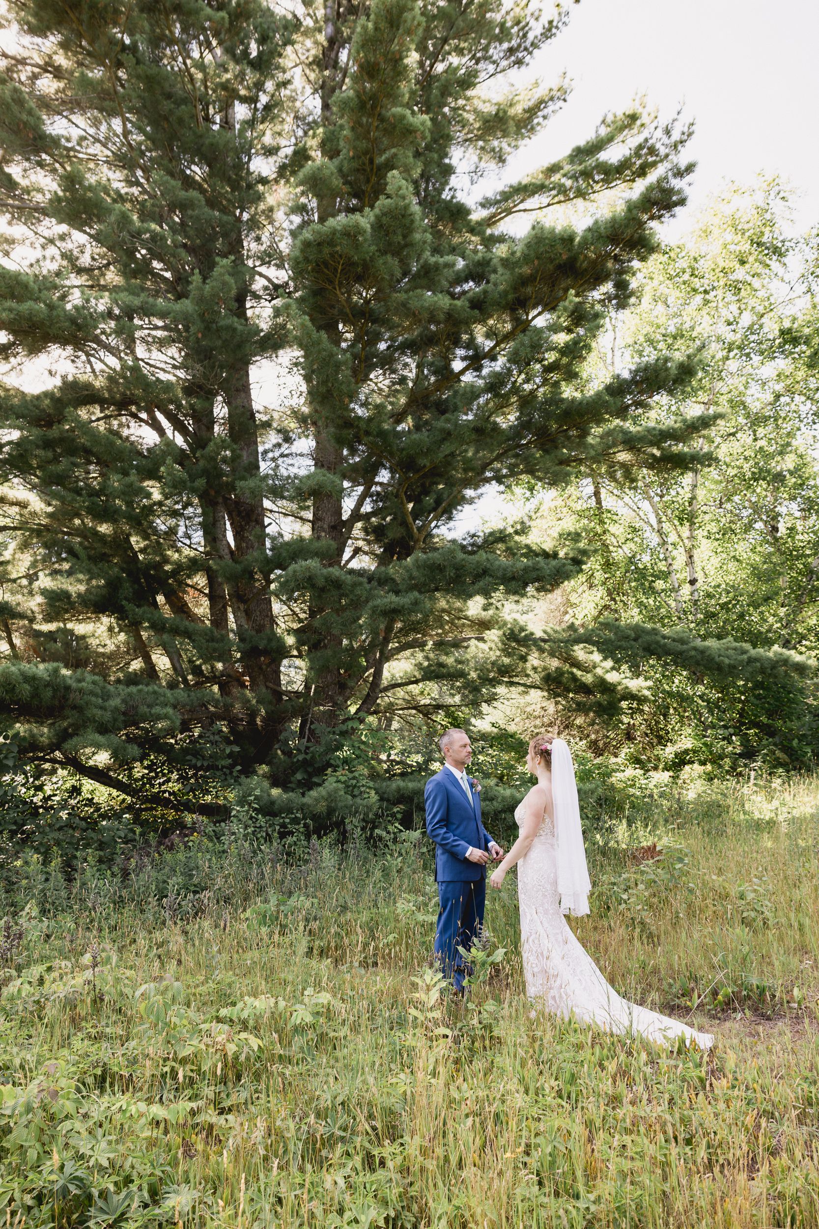 A couple stands together in a sunlit meadow surrounded by tall pine trees on their wedding day.