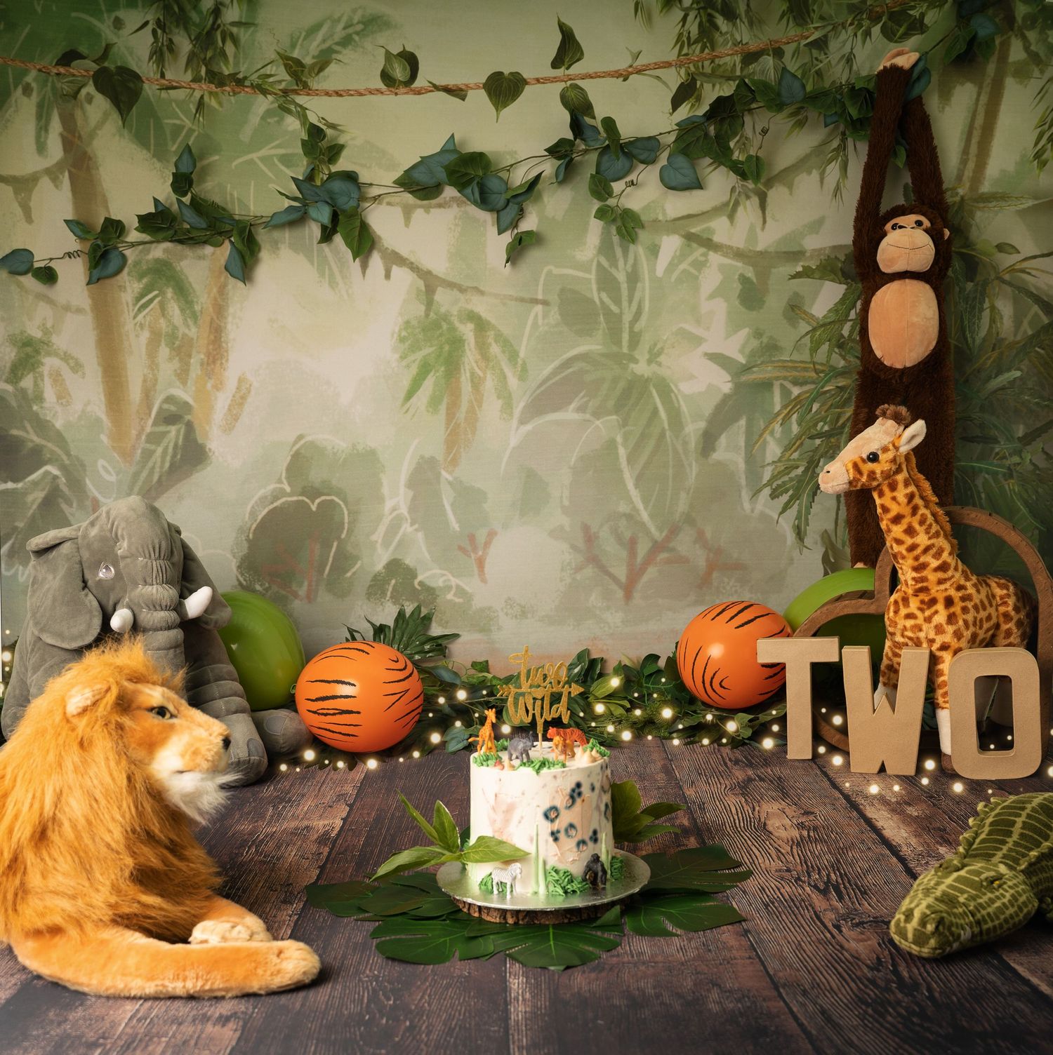 Custom-designed backdrops for newborn, cake smash, and family photography sessions, enhancing every special moment.